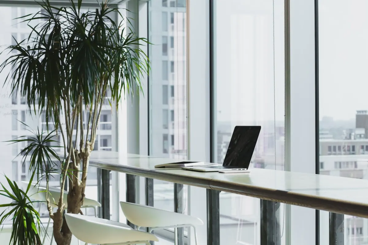 Locaux professionnels niçois entretenus par la société de nettoyage Anegnet Services