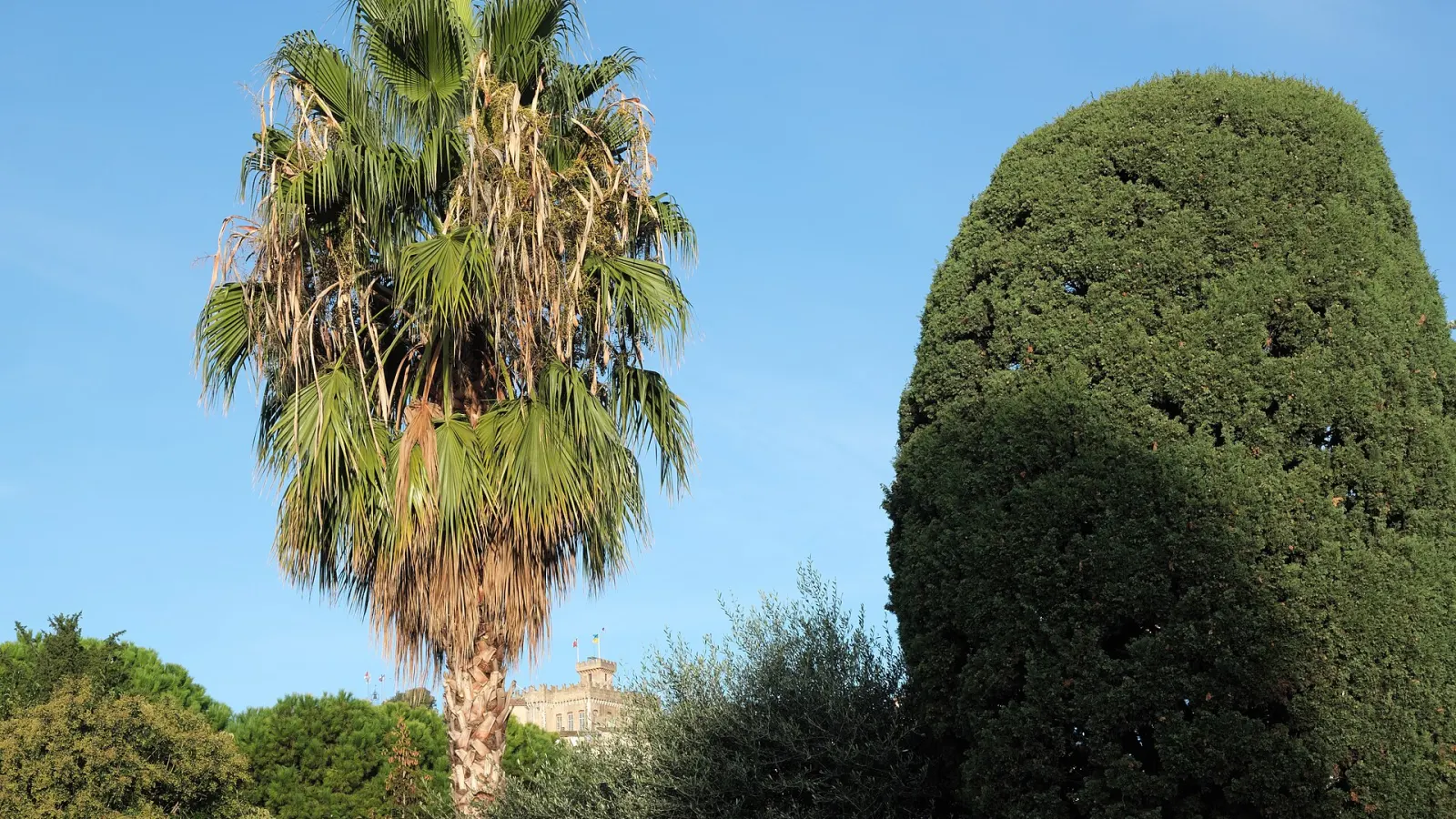 Château Grimaldi à Cagnes-sur-Mer, zone d’intervention Anegnet Services pour le nettoyage professionnel