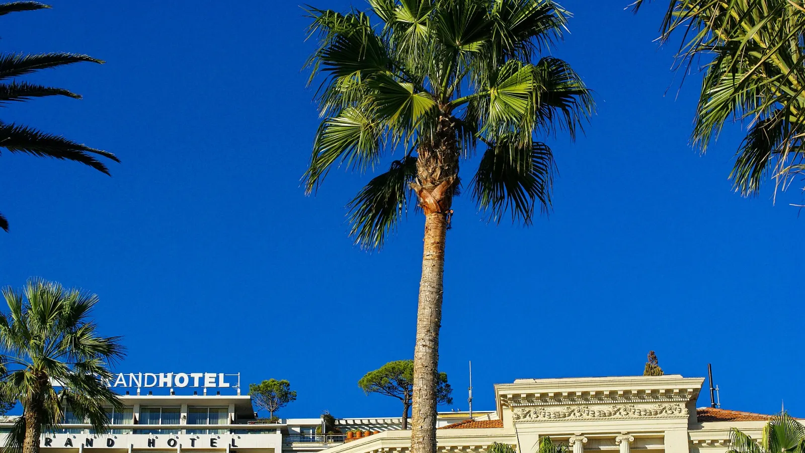 Boulevard de la Croisette à Cannes, zone d’intervention Anegnet Services pour le nettoyage professionnel