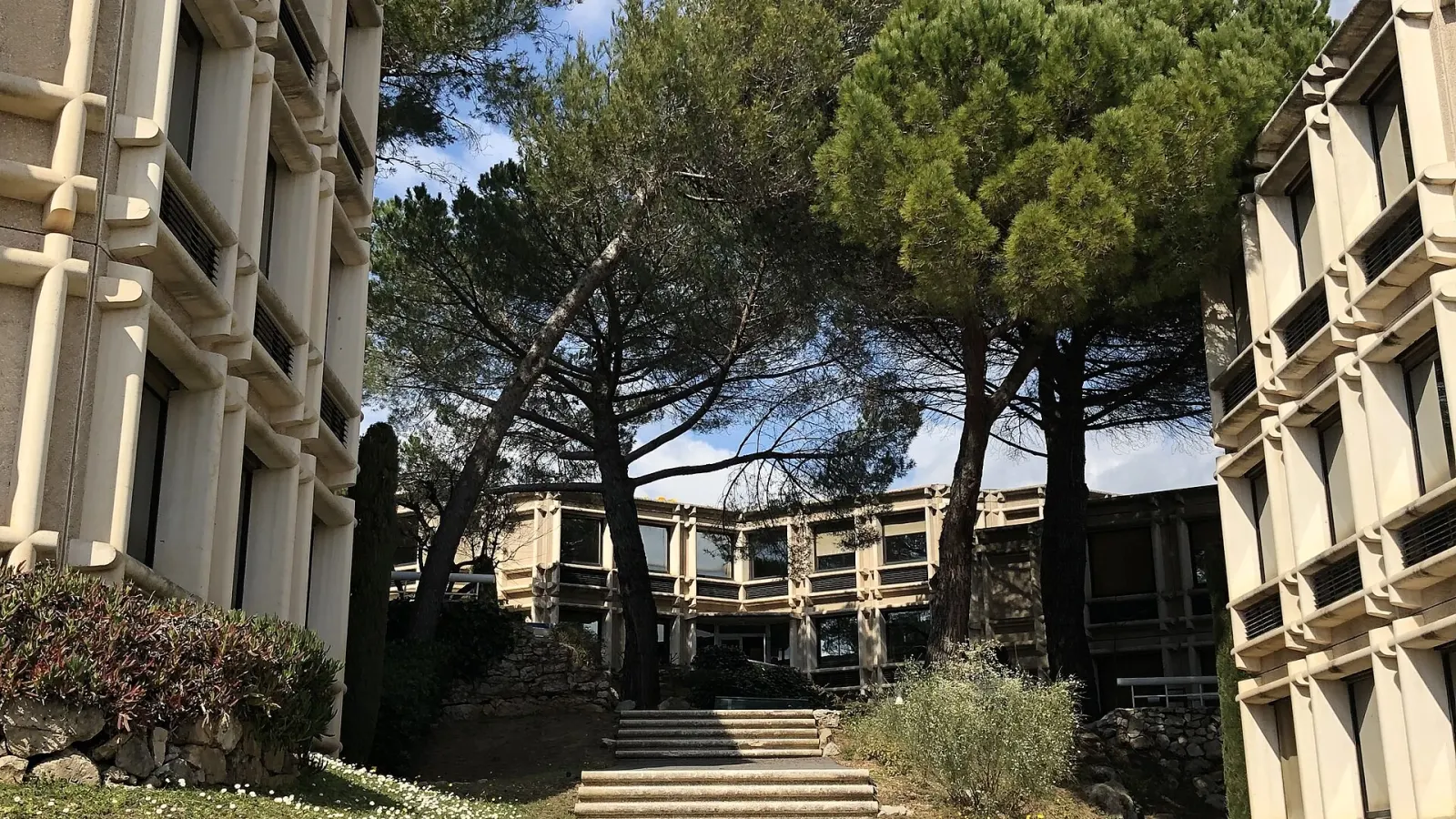 Campus tertiaire de Sophia-Antipolis, zone d’intervention Anegnet Services pour le nettoyage de bureaux