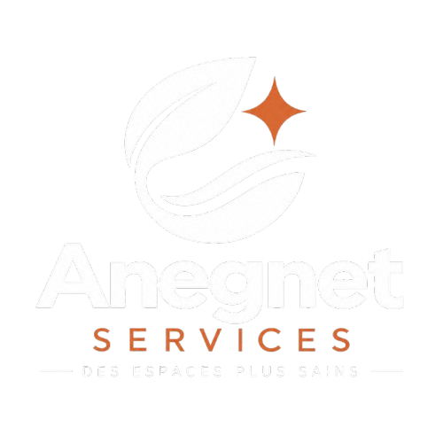 Anegnet Services, des espaces plus sains